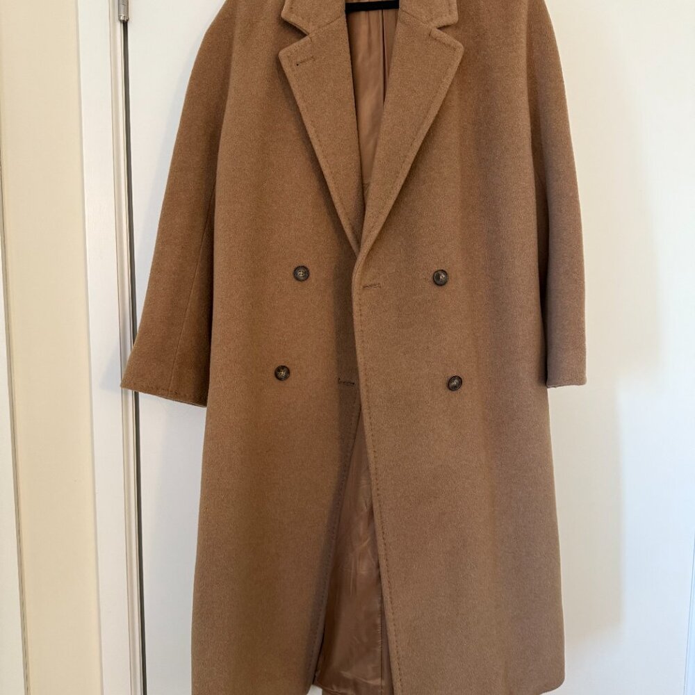 Aritzia Slouch Coat